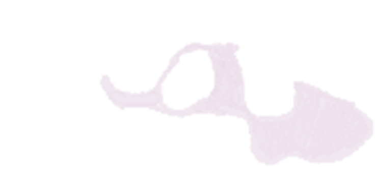 Fc_cloud_bg